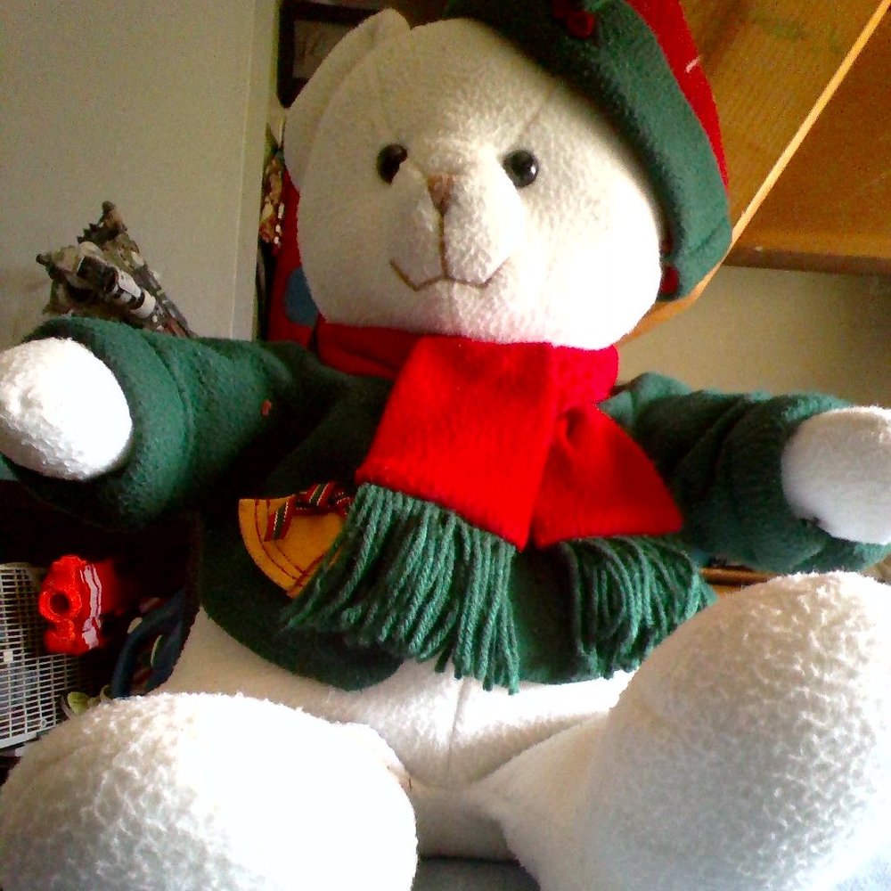 Bear Plushie